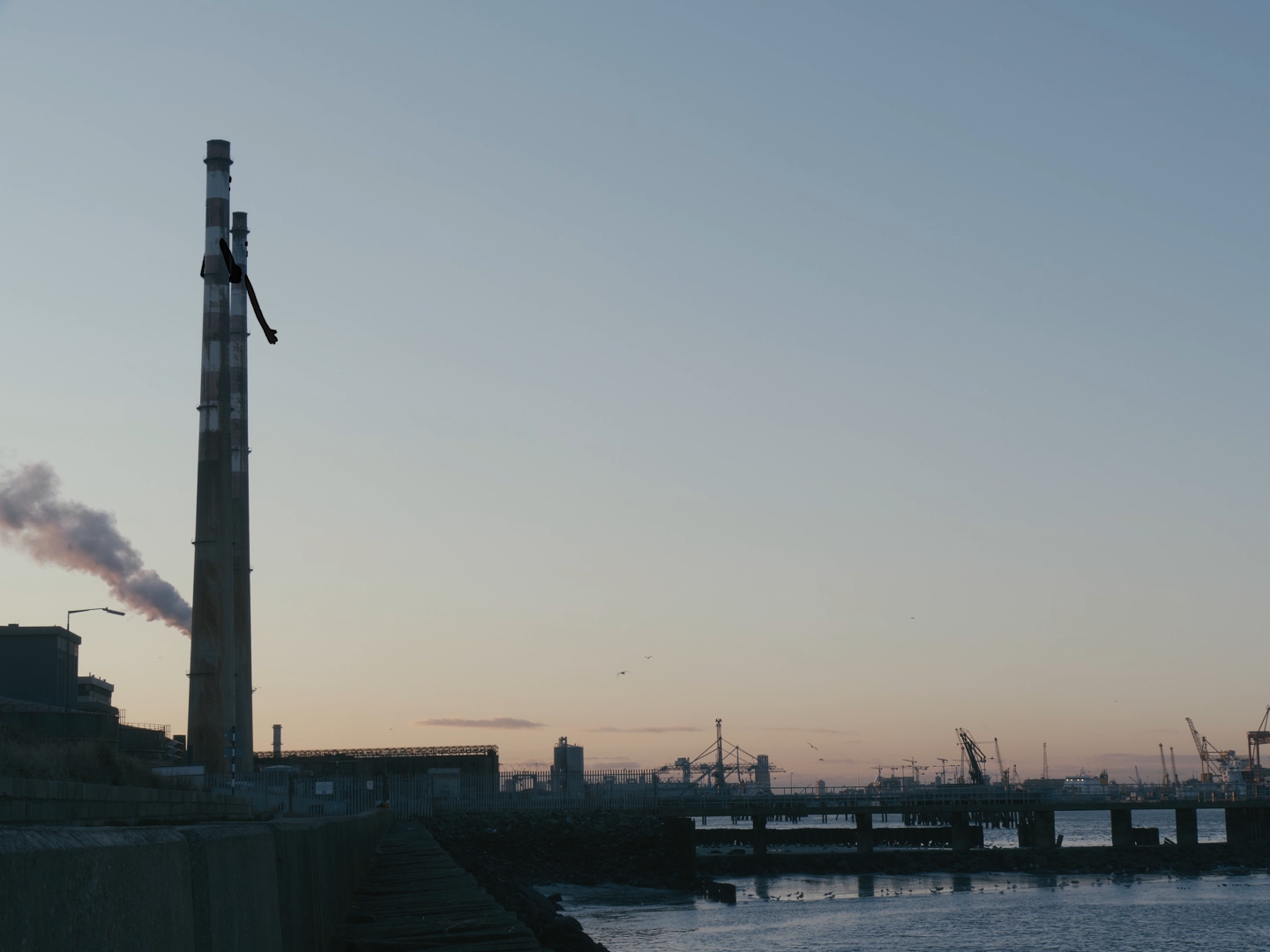 Port Short Winners: The Chancers Guide to Dublin | Watch on RTÉ Player! Port Short Winners: The Chancers Guide to Dublin | Watch on RTÉ Player!