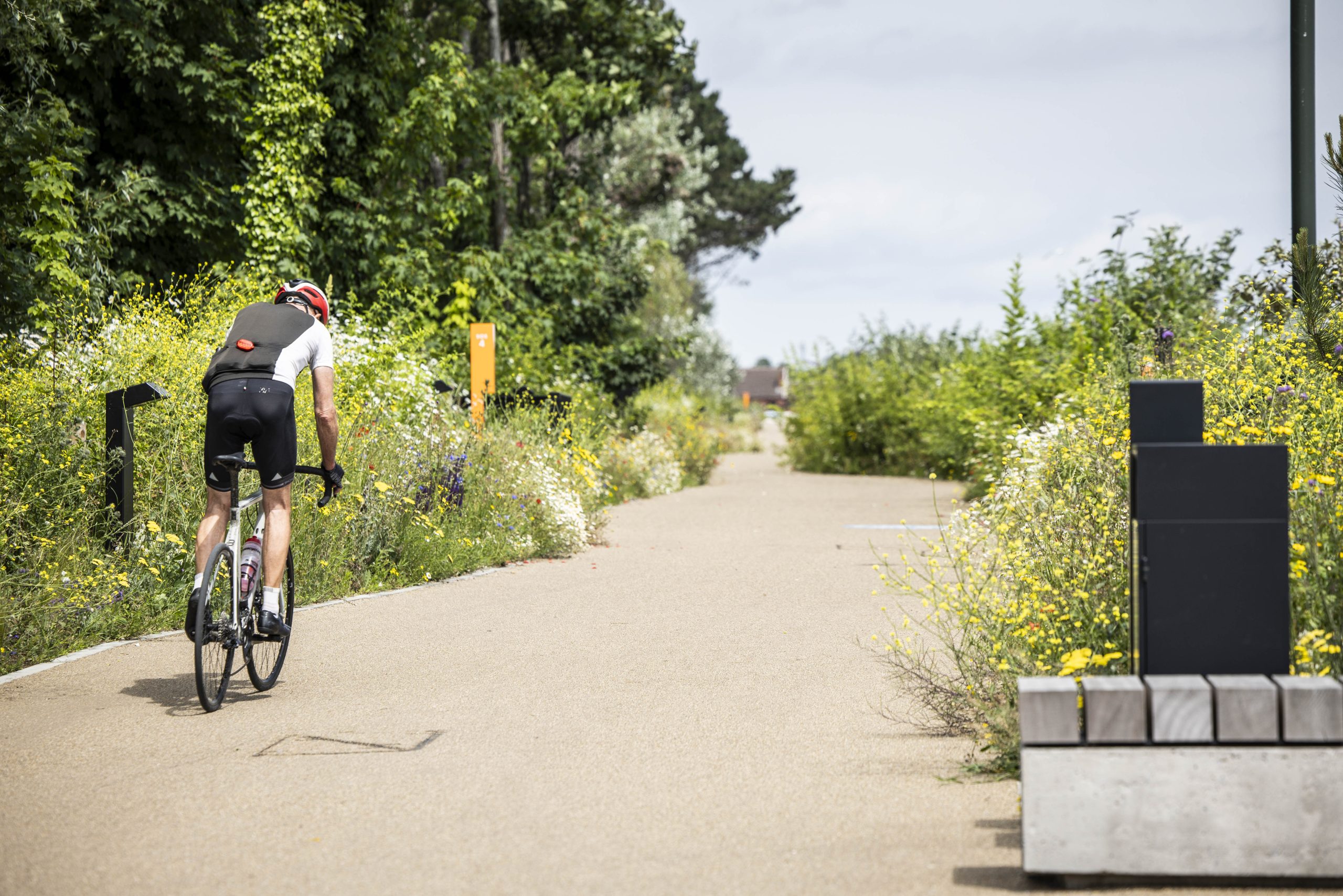 Dublin Bay Biosphere BioBlitz – Saturday, 23rd August