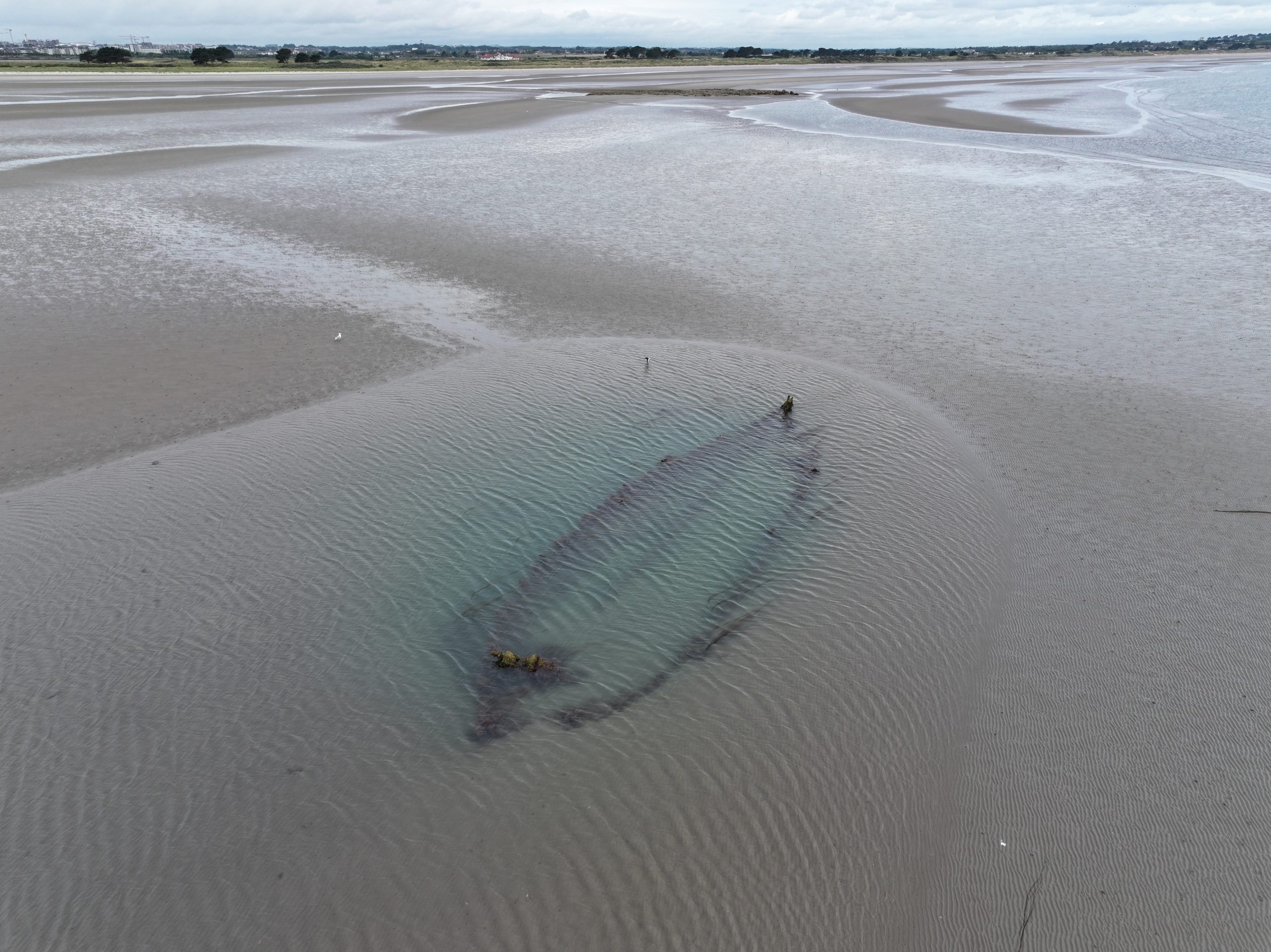 Shipwrecks of Dubln Bay Exhibition at The Substation